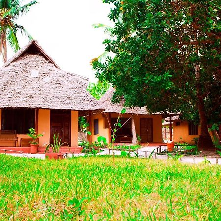 Afro Whale Shark Safari Bed & Breakfast Kilindoni Ngoại thất bức ảnh