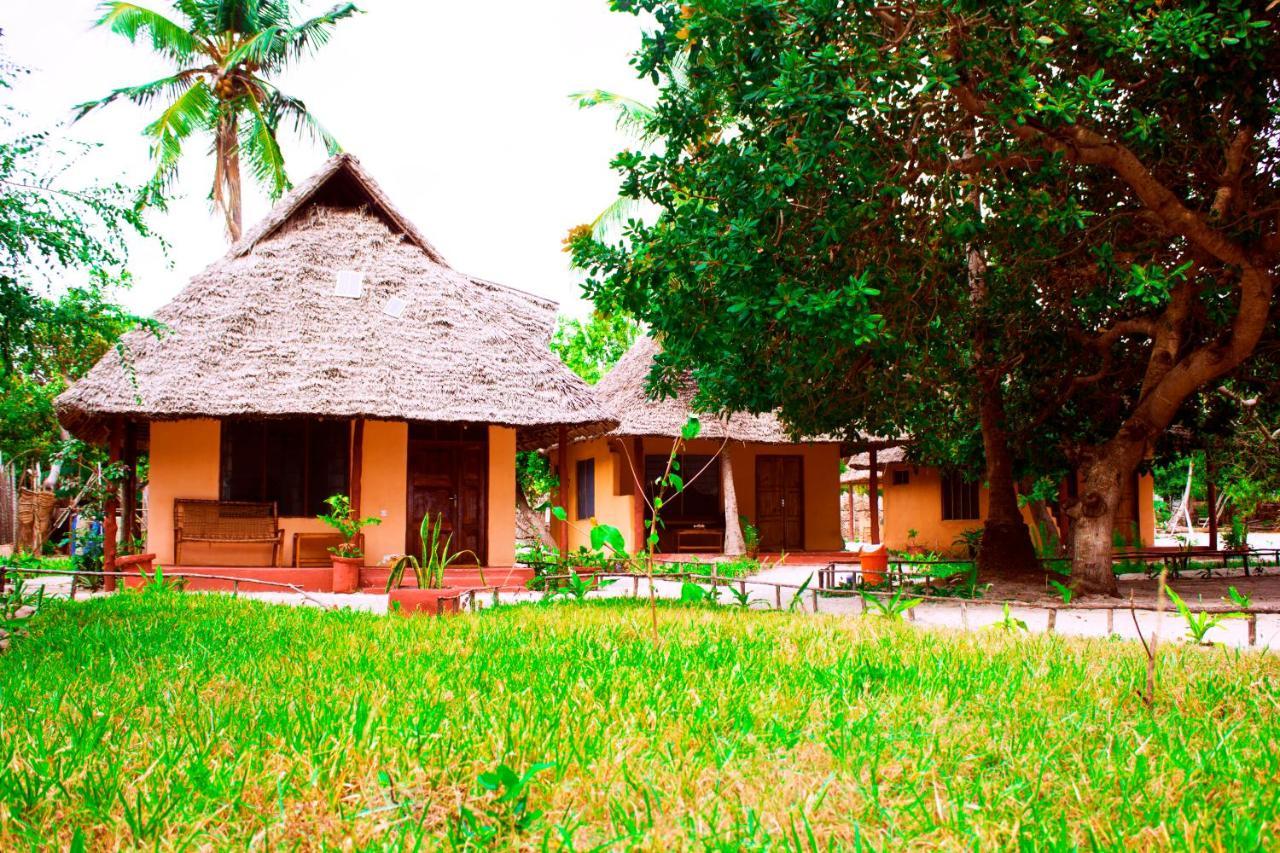 Afro Whale Shark Safari Bed & Breakfast Kilindoni Ngoại thất bức ảnh