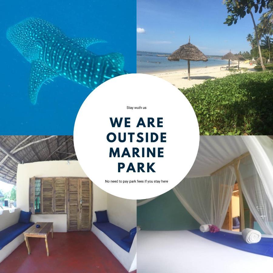 Afro Whale Shark Safari Bed & Breakfast Kilindoni Ngoại thất bức ảnh