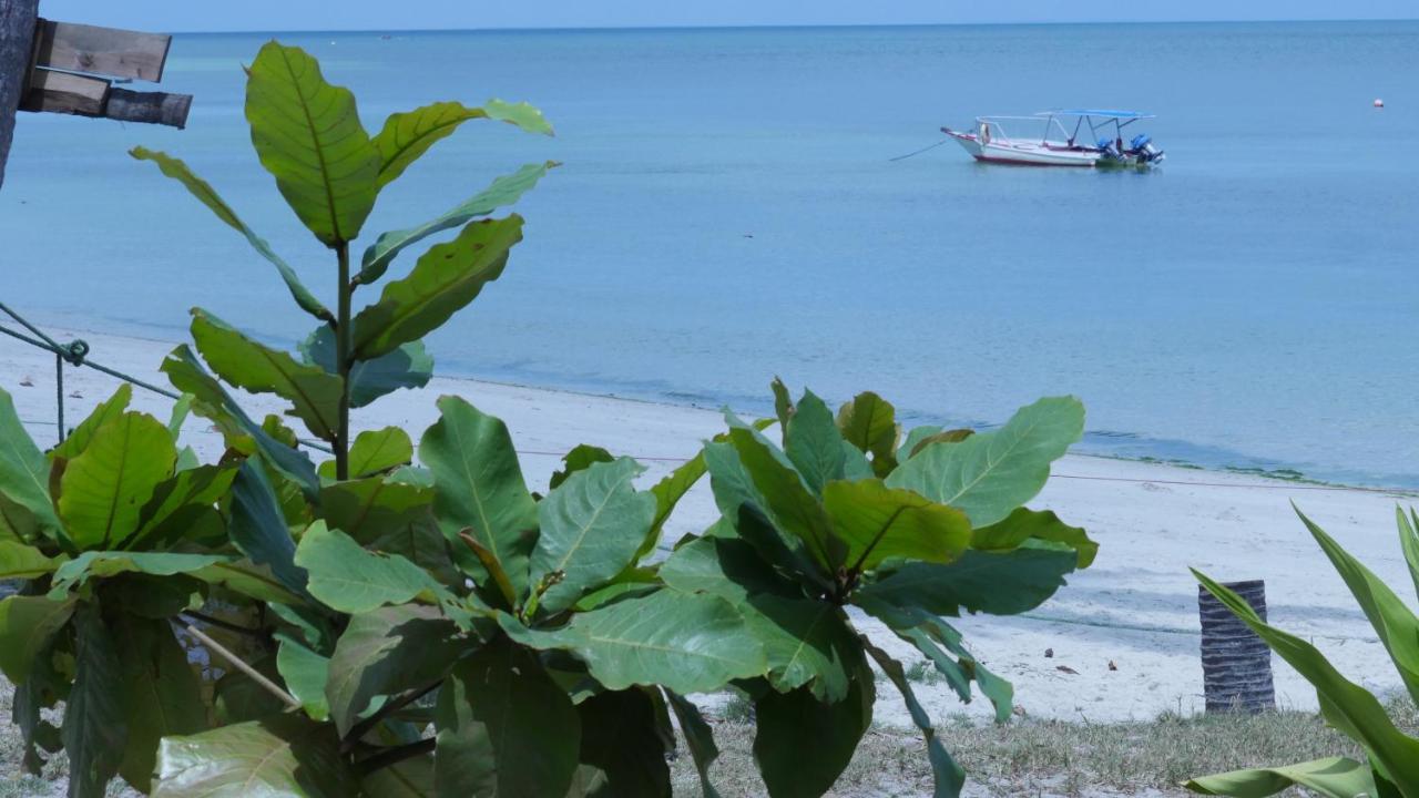 Afro Whale Shark Safari Bed & Breakfast Kilindoni Ngoại thất bức ảnh