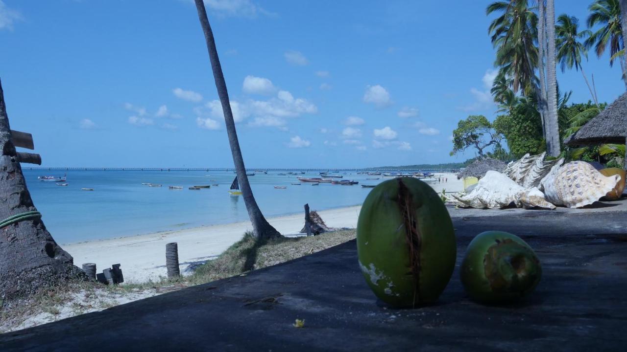Afro Whale Shark Safari Bed & Breakfast Kilindoni Ngoại thất bức ảnh