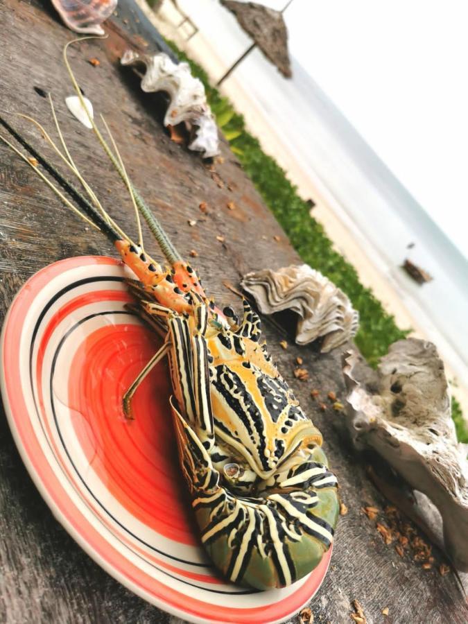 Afro Whale Shark Safari Bed & Breakfast Kilindoni Ngoại thất bức ảnh