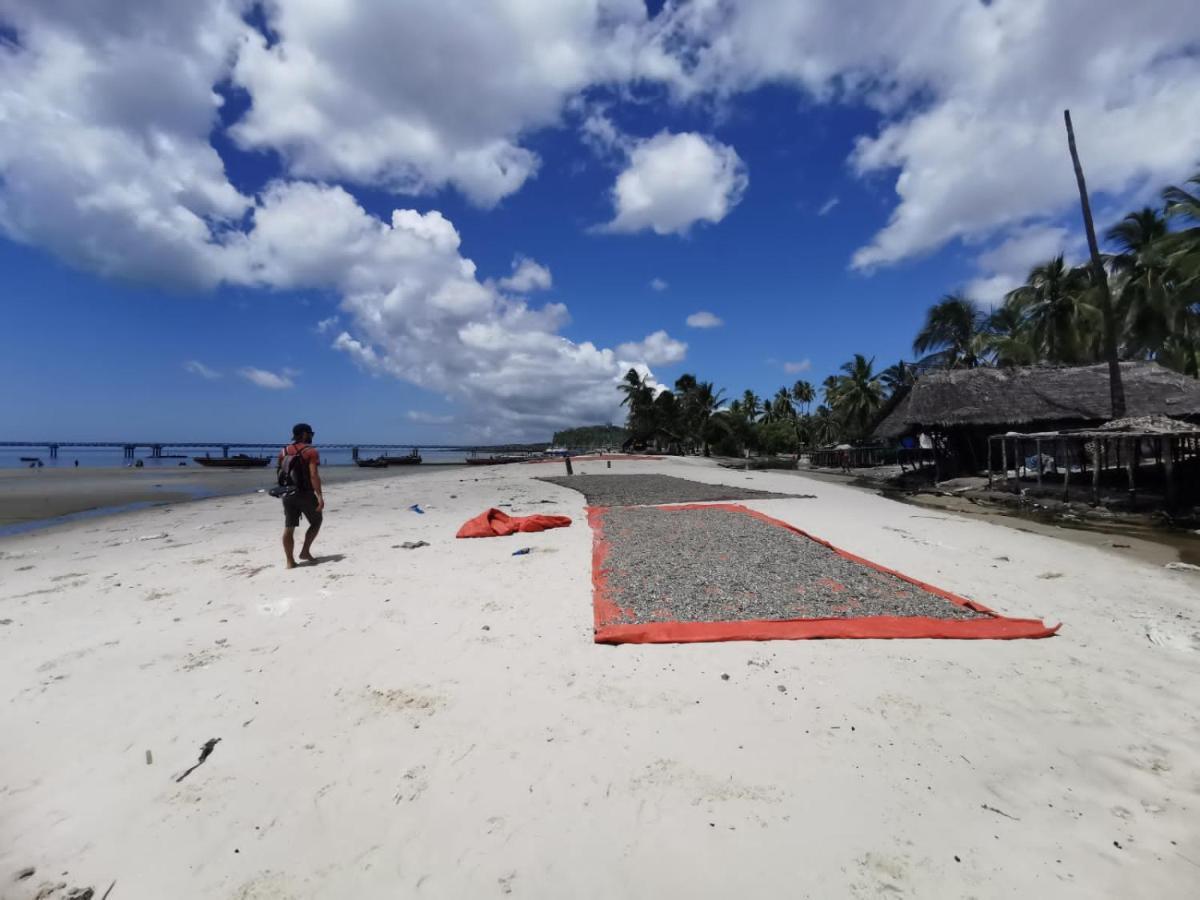 Afro Whale Shark Safari Bed & Breakfast Kilindoni Ngoại thất bức ảnh