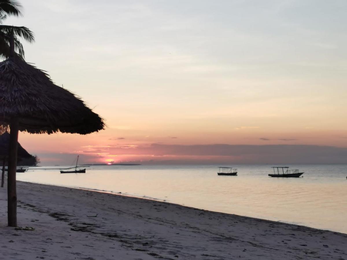Afro Whale Shark Safari Bed & Breakfast Kilindoni Ngoại thất bức ảnh