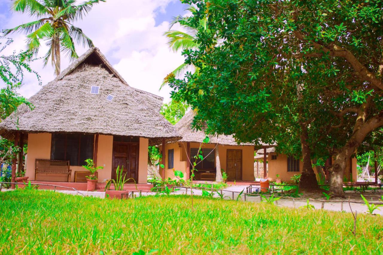 Afro Whale Shark Safari Bed & Breakfast Kilindoni Ngoại thất bức ảnh