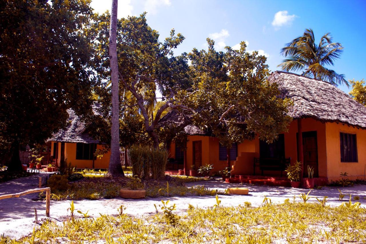 Afro Whale Shark Safari Bed & Breakfast Kilindoni Ngoại thất bức ảnh
