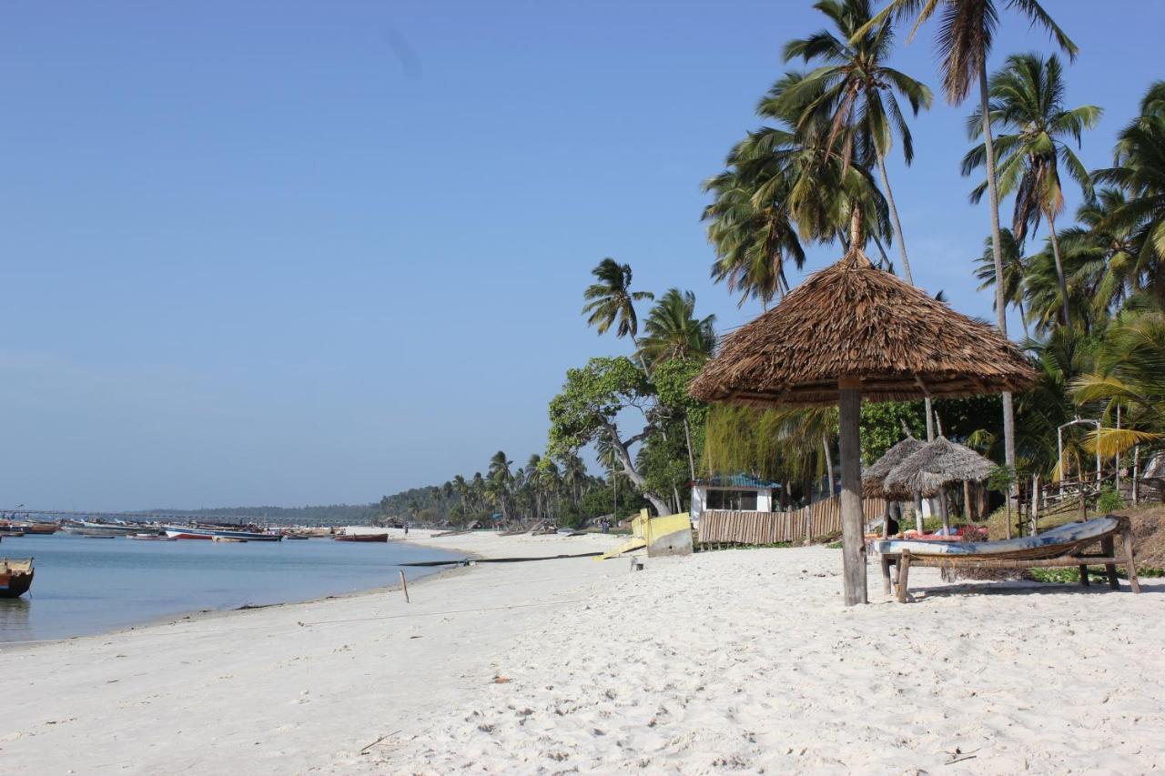 Afro Whale Shark Safari Bed & Breakfast Kilindoni Ngoại thất bức ảnh