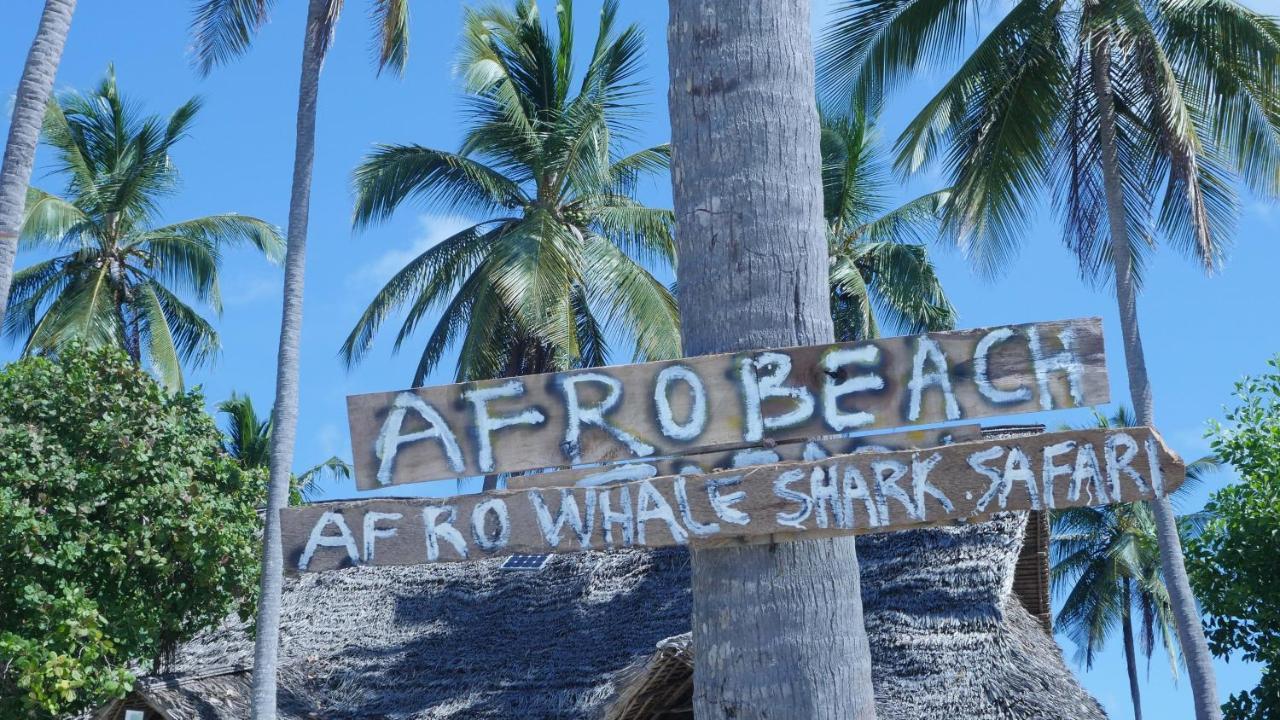 Afro Whale Shark Safari Bed & Breakfast Kilindoni Ngoại thất bức ảnh
