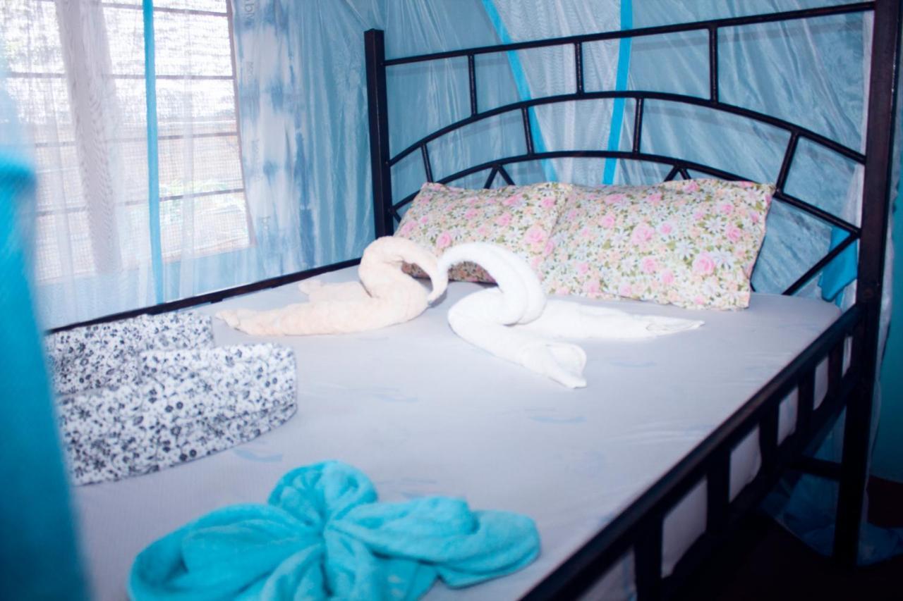 Afro Whale Shark Safari Bed & Breakfast Kilindoni Ngoại thất bức ảnh