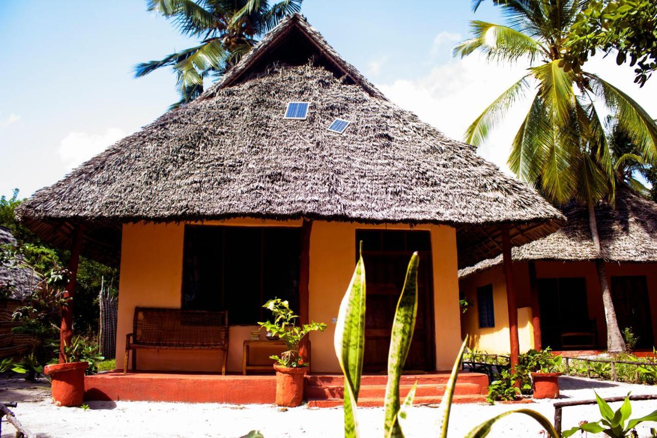 Afro Whale Shark Safari Bed & Breakfast Kilindoni Ngoại thất bức ảnh