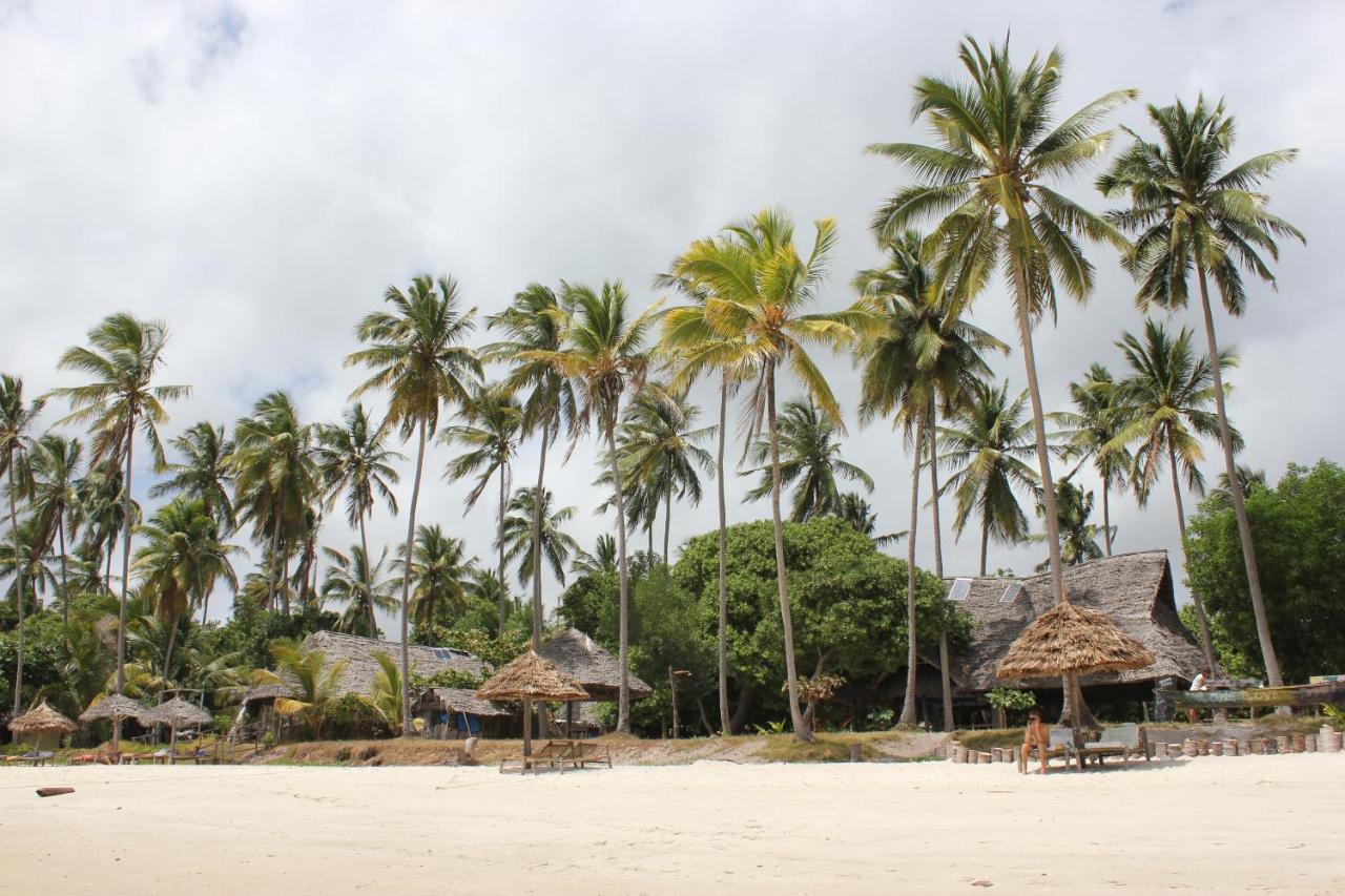 Afro Whale Shark Safari Bed & Breakfast Kilindoni Ngoại thất bức ảnh