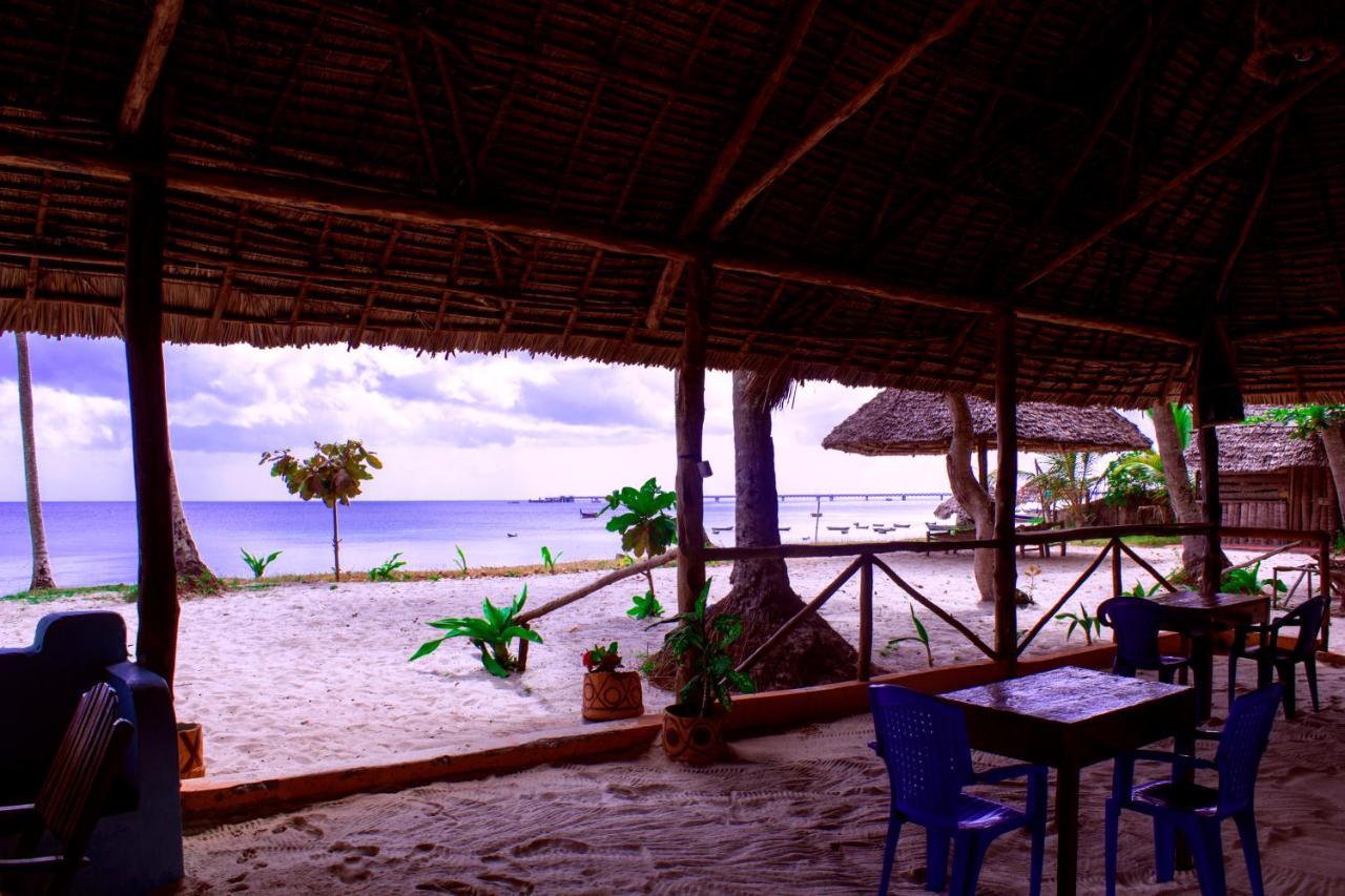 Afro Whale Shark Safari Bed & Breakfast Kilindoni Ngoại thất bức ảnh