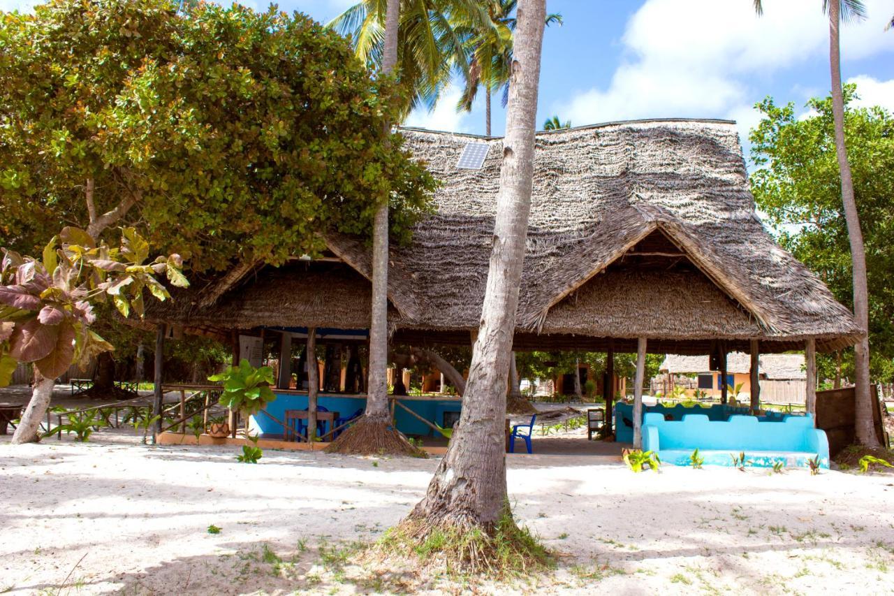 Afro Whale Shark Safari Bed & Breakfast Kilindoni Ngoại thất bức ảnh