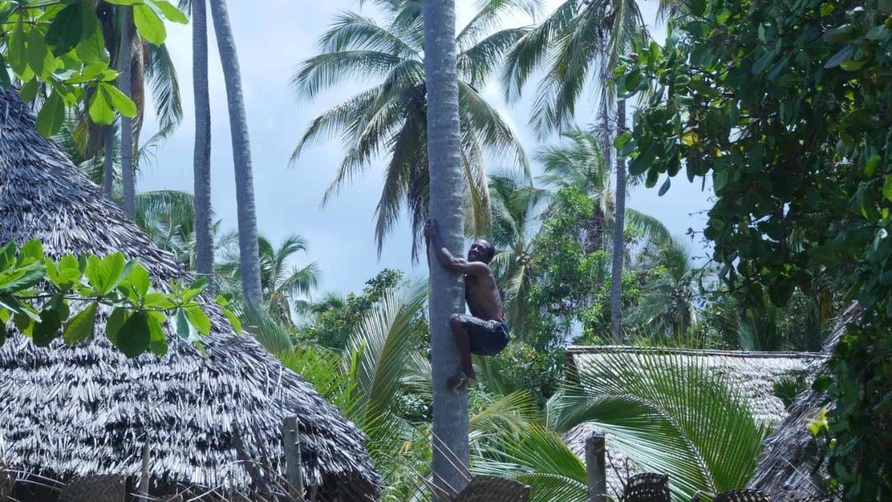 Afro Whale Shark Safari Bed & Breakfast Kilindoni Ngoại thất bức ảnh